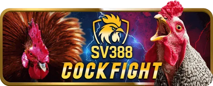 Hướng dẫn chi tiết về các loại bet789 Code và cách sử dụng